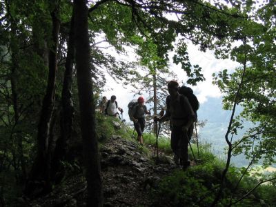 Kliknite za ogled večje slike