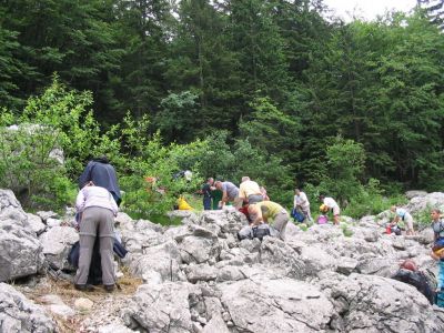 Kliknite za ogled večje slike