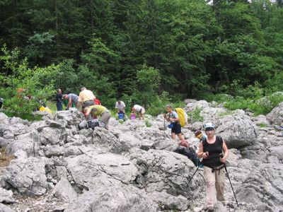 Kliknite za ogled večje slike