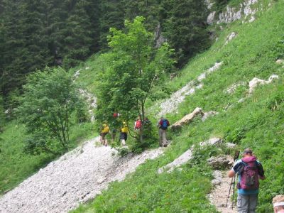 Kliknite za ogled večje slike