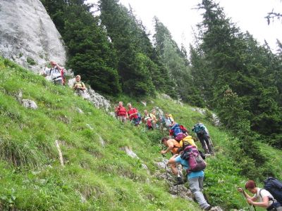 Kliknite za ogled večje slike