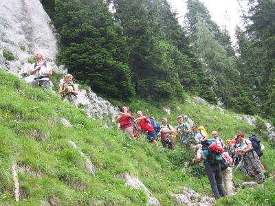 Kliknite za ogled večje slike