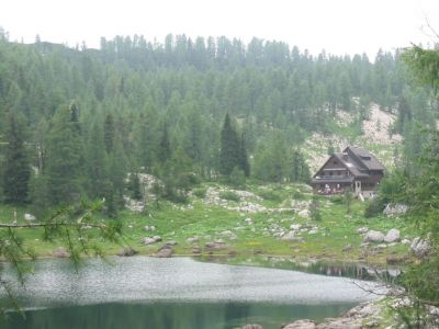 Kliknite za ogled večje slike