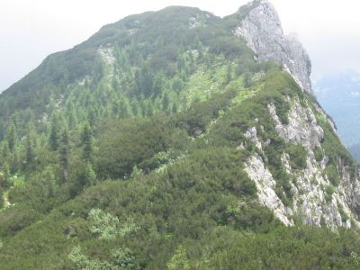 Kliknite za ogled večje slike