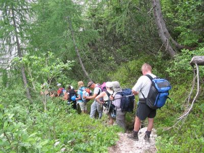 Kliknite za ogled večje slike