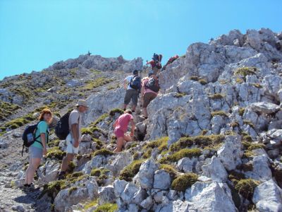Kliknite za ogled večje slike