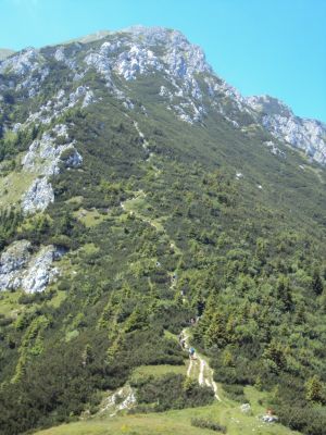 Kliknite za ogled večje slike