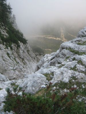 Kliknite za ogled večje slike