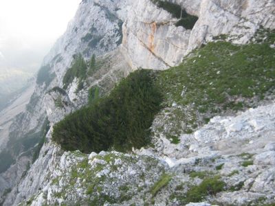 Kliknite za ogled večje slike