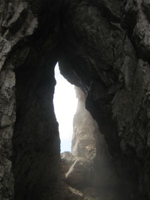 Kliknite za ogled večje slike