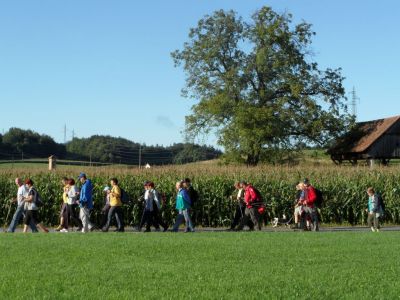 Kliknite za ogled večje slike