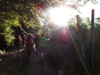 Kliknite za ogled večje slike