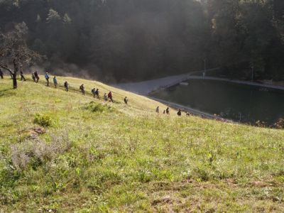 Kliknite za ogled večje slike