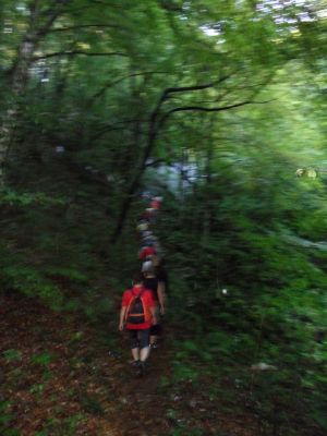 Kliknite za ogled večje slike