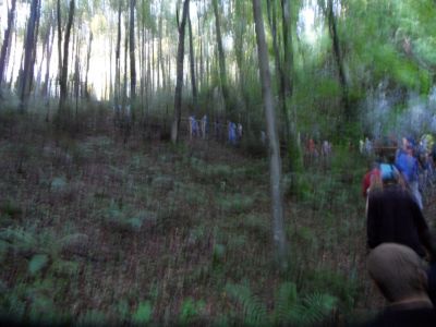 Kliknite za ogled večje slike