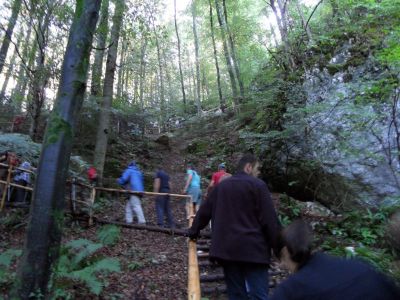 Kliknite za ogled večje slike