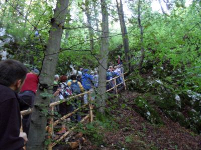 Kliknite za ogled večje slike