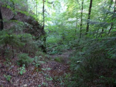 Kliknite za ogled večje slike