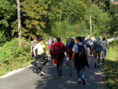 Kliknite za ogled večje slike