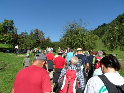 Kliknite za ogled večje slike