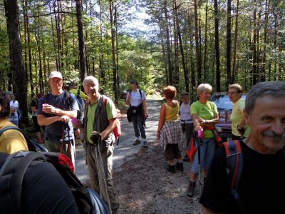 Kliknite za ogled večje slike