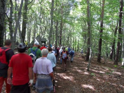 Kliknite za ogled večje slike
