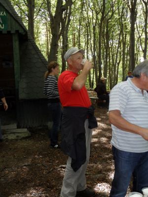 Kliknite za ogled večje slike