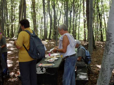 Kliknite za ogled večje slike