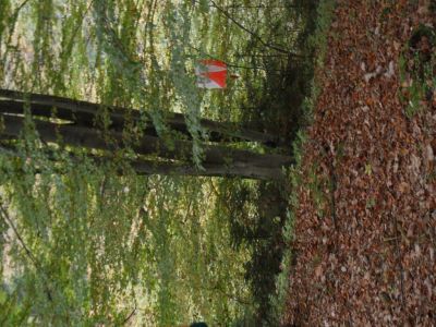 Kliknite za ogled večje slike