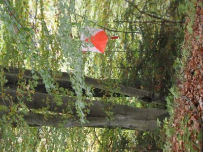 Kliknite za ogled večje slike