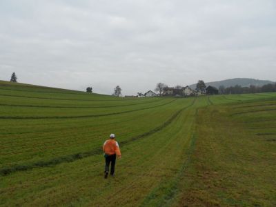 Kliknite za ogled večje slike