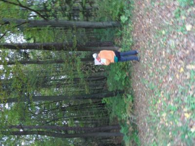 Kliknite za ogled večje slike