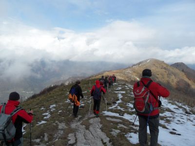 Kliknite za ogled večje slike