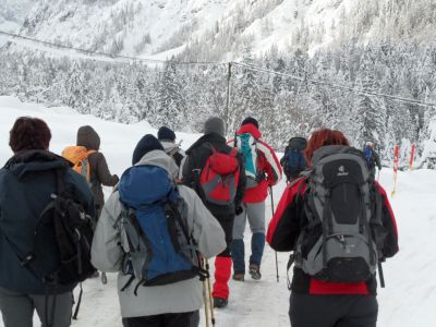 Kliknite za ogled večje slike