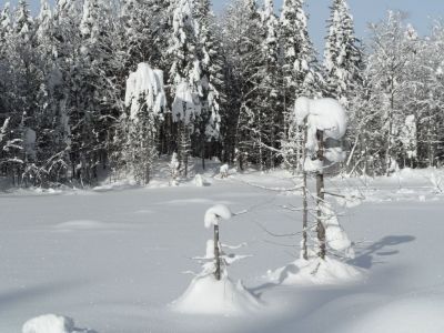Kliknite za ogled večje slike
