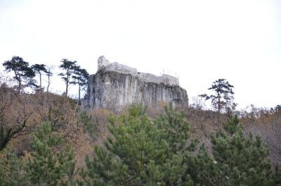 Kliknite za ogled večje slike