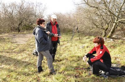 Kliknite za ogled večje slike
