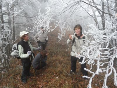 Kliknite za ogled večje slike