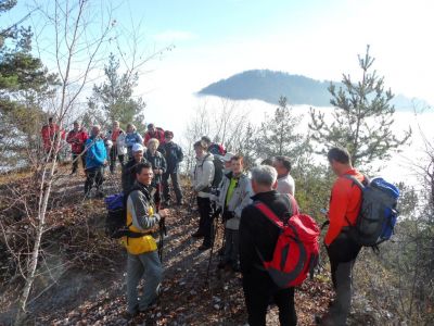 Kliknite za ogled večje slike
