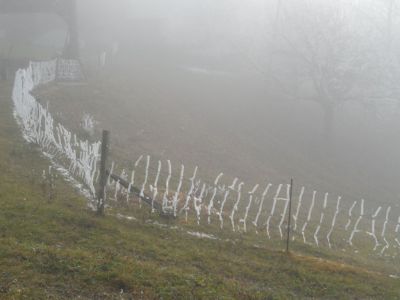 Kliknite za ogled večje slike