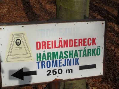 Kliknite za ogled večje slike