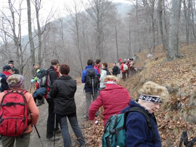 Kliknite za ogled večje slike