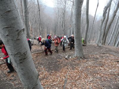 Kliknite za ogled večje slike