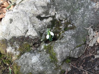 Kliknite za ogled večje slike