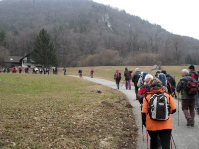 Kliknite za ogled večje slike