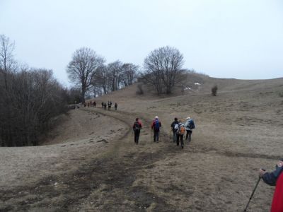 Kliknite za ogled večje slike