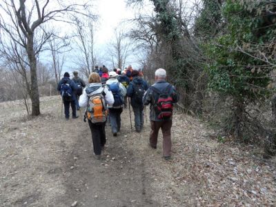 Kliknite za ogled večje slike