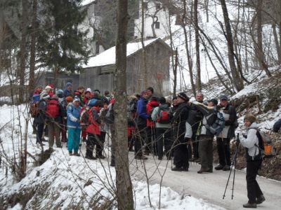 Kliknite za ogled večje slike