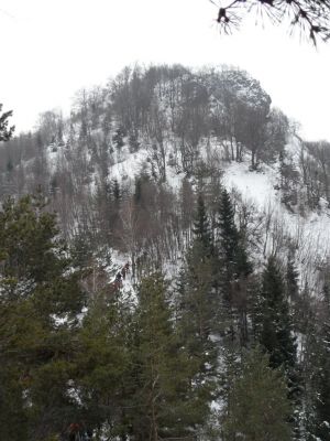 Kliknite za ogled večje slike