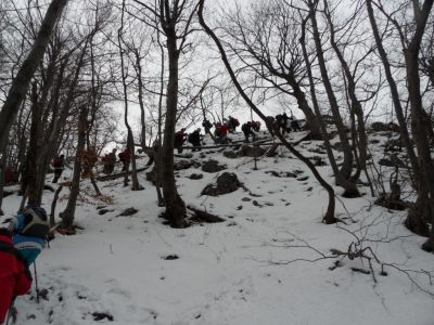 Kliknite za ogled večje slike